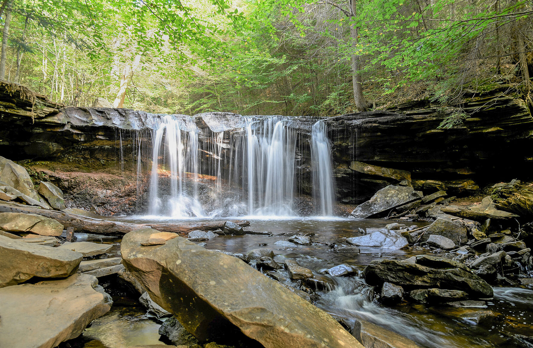 Oneida Waterfall, Ricketts Glen State Park, PA